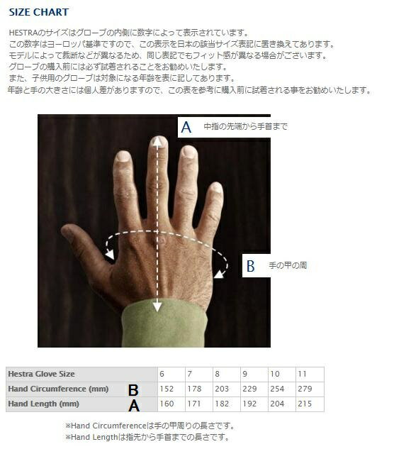 再再販 スキー Hestra ヘストラ スキーグラブ jp Vertical Cut Comp バーティカルカットコンプ あらゆる冬のスポーツに最適 暖かい あったかい 防寒 おしゃれ オシャレ スキー スノボ スノーボード アク Agartd Org Gt