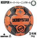 サッカー: DERBYSTAR 5号球 KEEPER Nr.1060500790 キーパートレーニングボール 1kg Nr.1060500790 【キャッチング...