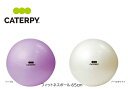caterpy キャタピー フィットネスボール65cm 体幹 筋トレ ツインズ キャタピー トレーニング エクササイズ ダイエット 筋トレ 体感トレーニング リハビリ【 ナカジマスポーツ 】(4)