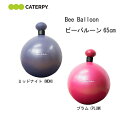 caterpy キャタピー Bee Ballon ビーバルーン BBL-002 体幹 筋トレ TWINS ツインズ トレーニング エクササイズ ダイエット 家トレ リハビリ 運動不足解消 初心者から上級者まで 乗馬 ジョッキー もやもや たづな