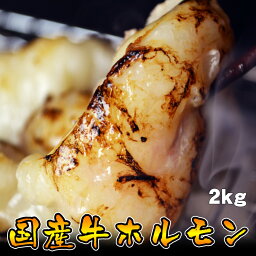 ホルモン 母の日 父の日 内祝　ギフト プレゼント 誕生日 牛肉 国産牛 ホルモン 2kg メガ盛り 小腸 焼肉 バーベキュー もつ鍋 ホルモン うどん ホルモン焼き 送料無料