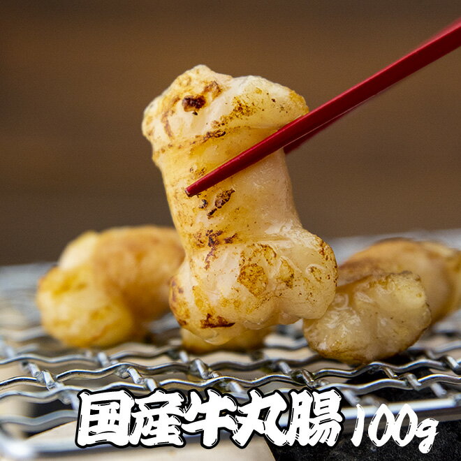 ホルモン 母の日 父の日 内祝 誕生日 プレゼント 国産牛丸腸100g ホルモン 小腸 焼肉 バーベキュー BBQ