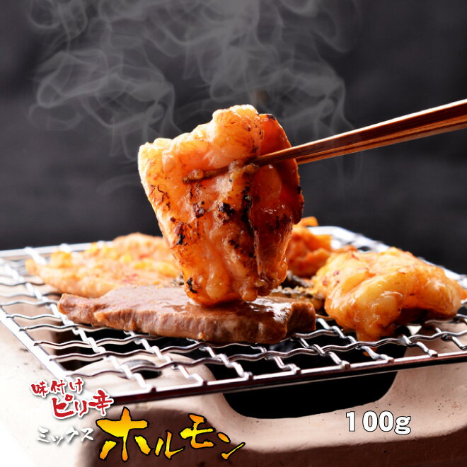 ホルモン 母の日 父の日 内祝　ギフト プレゼント 誕生日 牛肉 味付け ピリ辛 ミックスホルモン 100g 焼肉 バーベキ…