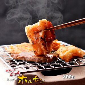ホルモン お花見 花見 BBQ バーベキュー 内祝 ギフト プレゼント 誕生日 牛肉 味付け ピリ辛 ミックスホルモン 300g 焼肉 バーベキュー もつ