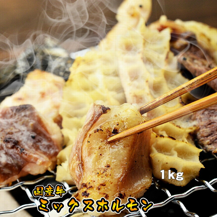 ホルモン 母の日 父の日 内祝　ギフト プレゼント 誕生日 牛肉 国産牛 ミックスホルモン 1kg メガ盛り 焼肉 バーベキ…