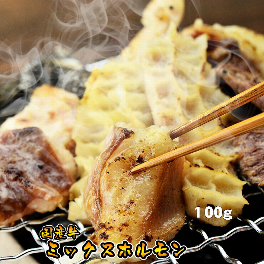 ホルモン 母の日 父の日 内祝　ギフト プレゼント 誕生日 牛肉 国産牛 ミックスホルモン 100g 焼肉 バーベキュー もつ鍋 ホルモン うどん ホルモン焼き