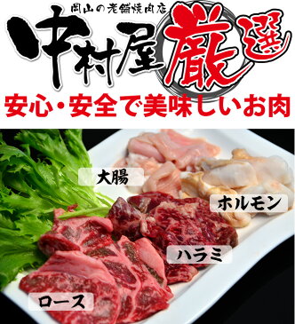 2019 誕生日 プレゼント 母の日 父の日 牛肉 国産牛 バーベキューセット5 ロース200g ハラミ200g ホルモン200g 大腸200g 焼肉用 焼肉セット