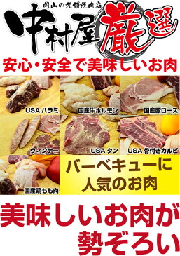 送料無料！タレ付き！バーベキューセット1.6Kg(USAタン200g,USA骨付きカルビ300g,USAハラミ200g,ウィンナー200g、国産豚ロース200g、国産鶏もも肉300g、国産牛ホルモン200g)