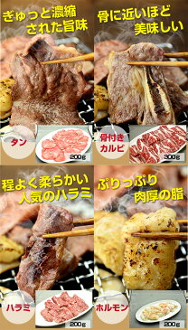 送料無料！タレ付き！バーベキューセット1.6Kg(USAタン200g,USA骨付きカルビ300g,USAハラミ200g,ウィンナー200g、国産豚ロース200g、国産鶏もも肉300g、国産牛ホルモン200g)