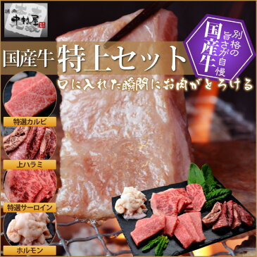 国産牛特上セット（特上カルビ200g、特上ロース200g、上ハラミ200g、ホルモン300g、焼肉セット、バーベキューセット）【RCP】【父の日】YOUNG zone【母の日】【お中元】02P03Dec16