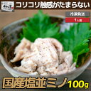 敬老の日 内祝　ギフト プレゼント 誕生日 牛肉 国産牛 塩並ミノ 100g 焼肉 バーベキュー もつ鍋 ホルモン うどん ホルモン焼き