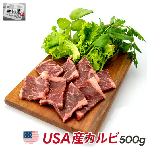 母の日 BBQ 内祝 ギフト プレゼント 誕生日 USAカルビ500g 母の日 BBQ 内祝 ギフト プレゼント 誕生日 USAカルビ500g