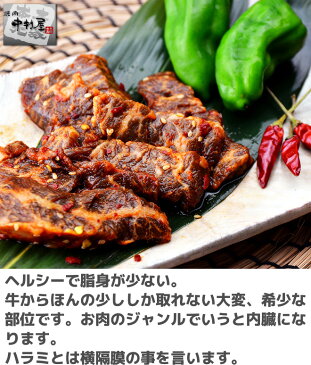 お中元 ギフト 内祝い 牛肉 ピリ辛 ハラミ US 100g 焼肉 バーベキュー BBQ