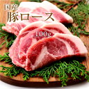 お歳暮 御歳暮 内祝　ギフト プレゼント 誕生日 豚肉 国産豚 ロース 100g 焼肉 バーベキュー