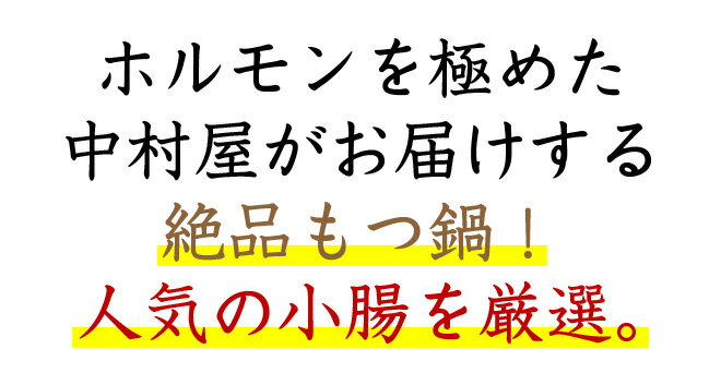 ホルモン鍋 母の日 父の日 内祝　ギフト プレゼント 誕生日 牛肉 国産牛 小腸厳選 もつ鍋 セット ホルモン 300g スープ1L ちゃんぽん麺2食 2