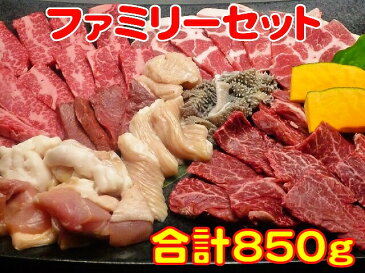 ファミリーセット（カルビ200g、ハラミ200g、豚ロース100g、鶏もも肉100g、ホルモン50g、大腸50g、センマイ50g、シンゾウ50g、並ミノ50g）【父の日】YOUNG zone【母の日】02P03Dec16