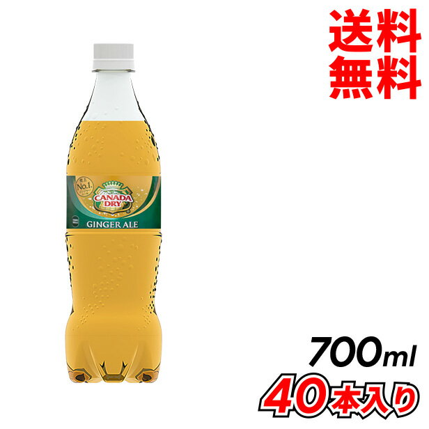 母の日 父の日 内祝　ギフト プレゼント 誕生日 コカ・コーラ カナダドライ ジンジャーエール PET 700mll 40本入り 炭酸飲料 メーカー..