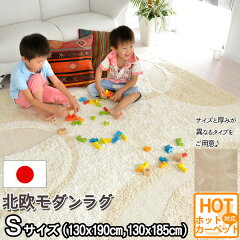 https://thumbnail.image.rakuten.co.jp/@0_mall/auc-nakane/cabinet/01rug110-/119bija0n-.jpg