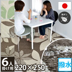 https://thumbnail.image.rakuten.co.jp/@0_mall/auc-nakane/cabinet/01rug160/162magi/a0new.jpg