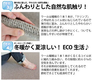カーペットウール江戸間6畳はオールシーズン、年中対応できます。ホットカーペットカバー対応で冬用にぴったりなカーペット、あったかいカーペット。冷え性対策にも。