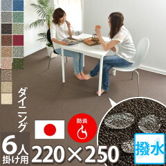 https://thumbnail.image.rakuten.co.jp/@0_mall/auc-nakane/cabinet/03carpet130-/daia0new.jpg