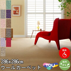 https://thumbnail.image.rakuten.co.jp/@0_mall/auc-nakane/cabinet/03carpet140-2n/14602bon03-c0n.jpg