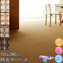 東リ カーペット 長4畳 約170×340cm 団地間 長4帖 デザインカーペット 防ダニ 抗菌 防炎 シンプル アースカラー ライトブラウン ベージュ ブラウン ダークブラウン春夏秋冬用 カーペット ラグ 日本製 絨毯 セグエ