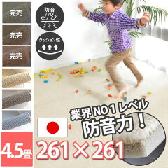 https://thumbnail.image.rakuten.co.jp/@0_mall/auc-nakane/cabinet/03carpet180-/188conya0new.jpg