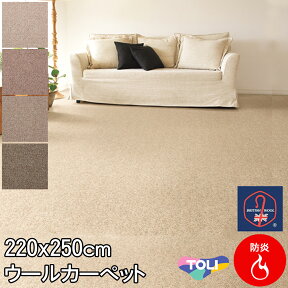 東リ 粒感が心地いい自然派ウールカーペット 絨毯 ダイニングサイズ 220×250 クラフトジャーニー ブリティッシュウールマーク付 防炎 制電 抗菌 ホットカーペットカバー対応 カーペット ラグ 約3.3畳春夏秋冬用 【東リ】