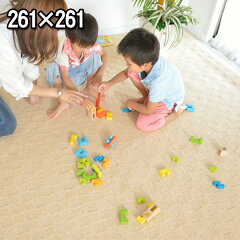 https://thumbnail.image.rakuten.co.jp/@0_mall/auc-nakane/cabinet/03carpet200/201cc2380/201cc2380a0---.jpg