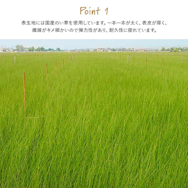 【1枚単品】 い草 置き畳 ユニット畳 撥水 88×176cm 食べこぼしを拭き取れる 湿度調節 消臭 汚れにくい 耐久性 クッション性 滑り止め 簡単設置 お子様やペットのいるご家庭におすすめ 無地 プチリフォーム 和風 リビング ナチュラル 日本製 アイズ(1111550010201)【ik】 [3]