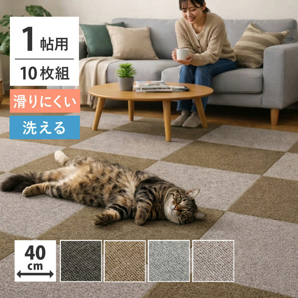 ��10�祻�åȡ��֤�����̩�� �����륫���ڥå� ��40��40cm ���ߤ��դ� ������ �ɲ� ���ݸ� �ڥå��б� ��ӥ��� ����åץ������hg��