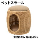 座れる&収納できる!ラタン製ペットスツール PET-66 ナチュラルインテリアに映えるおしゃれデザイン/耐荷重80kg/完成品【az】