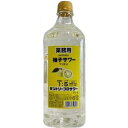 サントリー プロサワー 柚子 1800mlペット【RPC】【あす楽_土曜営業】【あす楽_日曜営業】【YOUNG zone】【ギフト】
