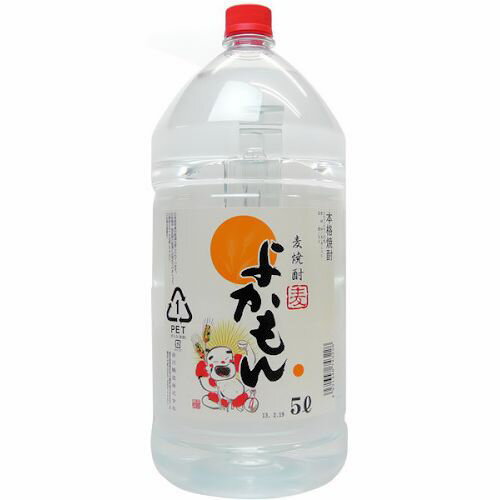 【送料無料（沖縄は850円）】麦焼酎　よかもん麦　25度　5L （岩川醸造）限定品【RPC】【あす楽_土曜営業】【あす楽_日曜営業】【YOUNG zone】【ギフト】