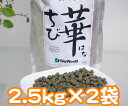 【ビッグウッド】ちび華5kg【国産・無添加】 【ドッグフード】超小型犬/幼犬・成犬・高齢犬対応
