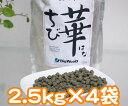 【ビッグウッド】ちび華10kg【国産・無添加】 【ドッグフード】超小型犬/幼犬・成犬・高齢犬対応