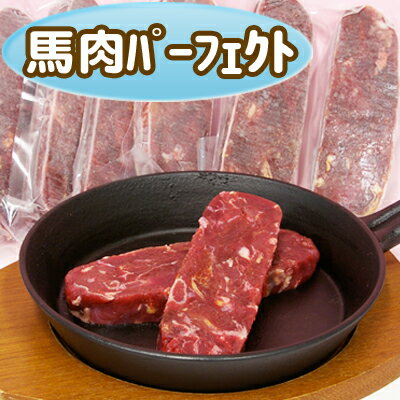 【無添加・冷凍馬肉】安心・安全！Diara(ディアラ) 馬肉パーフェクト【小分け真空パック50g×10本入り】500gのサムネイル