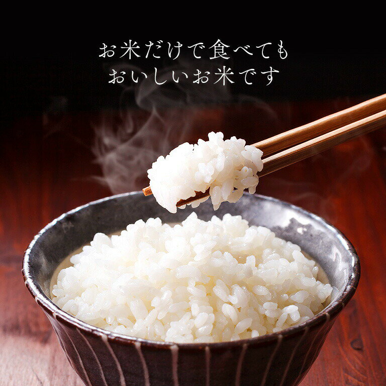 R7年 精米仕立て 白米 お米 ご飯 おにぎり 納豆ご飯 たまごかけご飯 カレーライス 宮城　宮城県産 新米 ひとめぼれ 令和7年産 玄米10kg 精米9kg 精米はご注文を受けてから精米 白米 特別栽培米 米どころ 農家直販