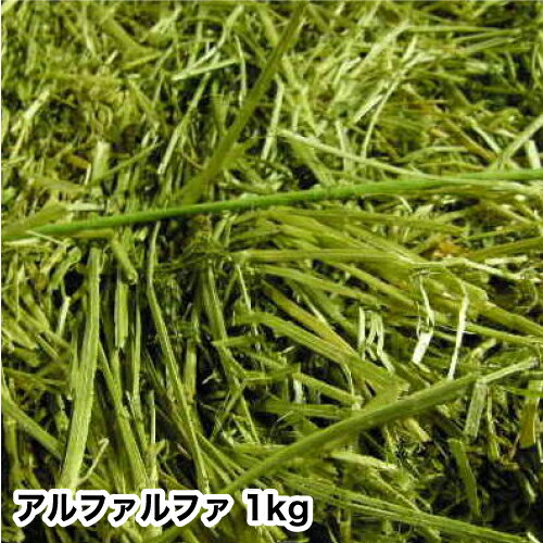 アルファルファ1kg　シングルプレス牧草、うさぎ、モルモット、チンチラ、テグーに うさぎ 牧草 チモシ..