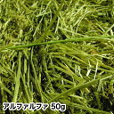 アルファルファ 50g　牧草 うさぎ モルモット チンチラ テグー に! 