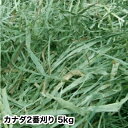 ウサギ 牧草 チモシー うさぎ 2023年産新刈り入荷 カナダ 二番刈り チモシー 5kg うさぎ モルモット チンチラテグー ウサギ エサ モルモット フ...