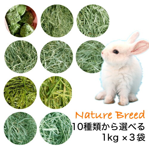 ウサギ 牧草 チモシー うさぎ うさぎ 牧草 チモシー 【送料無料】 牧草 どれでも よりどり 1kgx3袋 ウサギ エサ 楽天市場 牧草 楽天 市場 牧草 市場 一番刈り 二番刈り 三番刈り 1番狩り 2番狩り 3番狩り 安い ssi