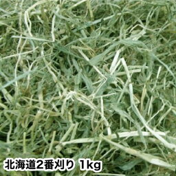 【あす楽】【送料無料】北海道二番刈りチモシー　1kg　牧草　うさぎ、モルモット、チンチラ、テグーに