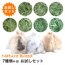 土日祝も出荷【あす楽】【送料無料】牧草セット セット牧草 お試し当店販売全種のチモシー　おためし バイキング 牧…