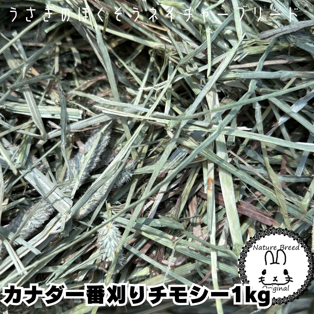 カナダ一番刈りチモシー　1　kg　牧草、うさぎ、モルモット、チンチラ、テグーに　 うさぎ 牧草 チモシー うさぎの牧草　楽天市場　牧草　楽天　市場　楽天　市場　牧草 SSS