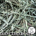 ウサギ 牧草 チモシー うさぎ 【あす楽】カナダ一番刈りチモシー 1 kg 牧草、うさぎ、モルモット、チンチラ、テグーに うさぎ 牧草 チモシー うさぎの牧草 楽天市場 牧草 楽天 市場 楽天 市場 牧草