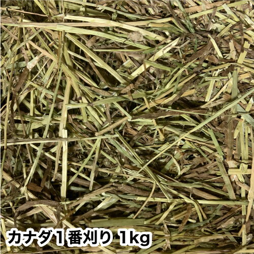 【 送料無料 】カナダ一番刈り チモシー 1kg チモシー ウサギ エサ 牧草 1番刈り 1番刈り ティモシー うさぎ の 牧草…