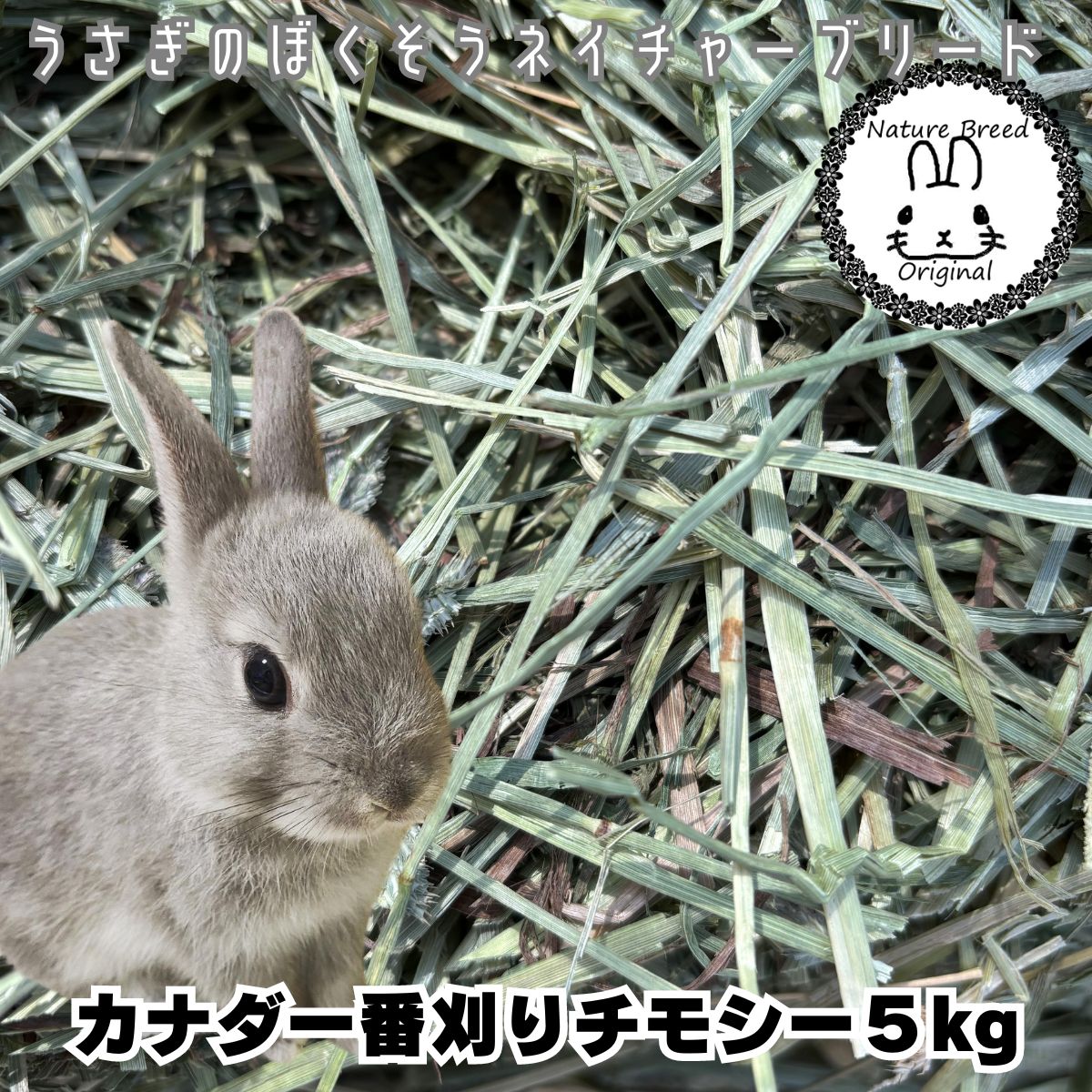 スーパープレミアムチモシー5kg箱入【無選別】 | うさぎ専門店