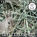 【あす楽】カナダ産一番刈りチモシー 5kg 牧草 うさぎ モルモット チンチラ テグーに うさぎ チモシー うさぎの牧草 楽天市場 牧草 楽天 市場 楽天 市場 牧草